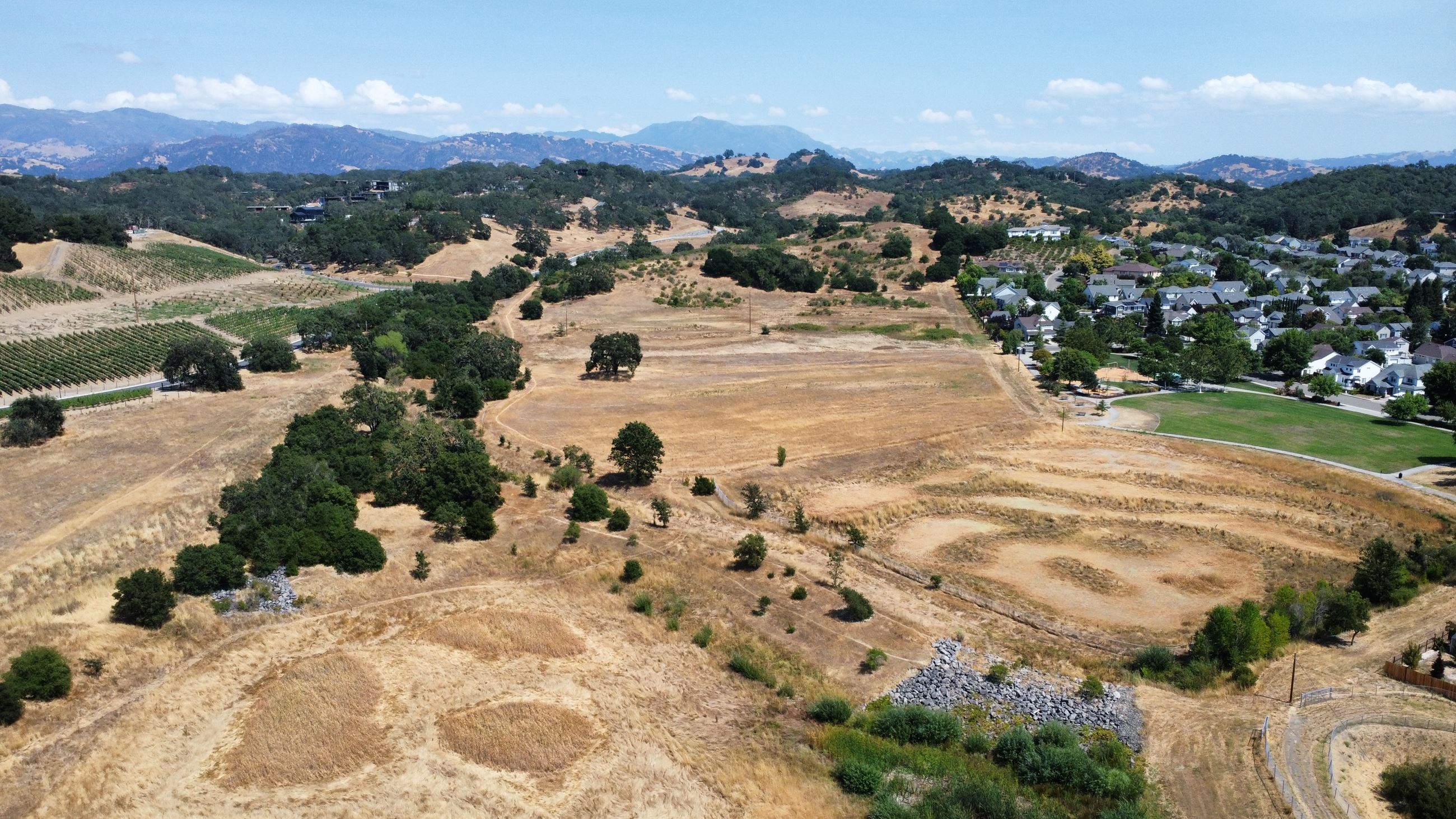 Saggio Hills Park Aerial