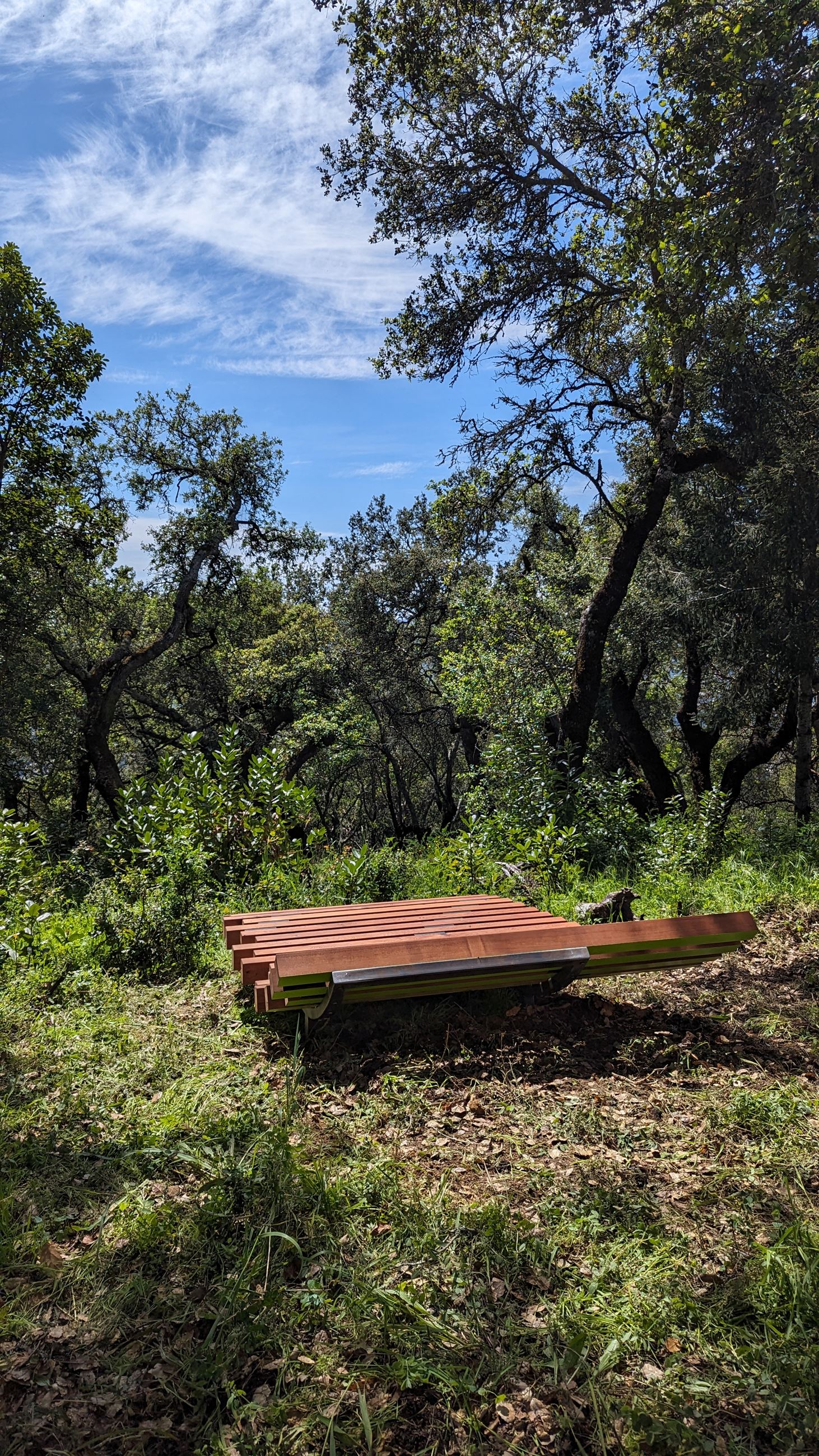 Fitch Mountain Public Art Installation